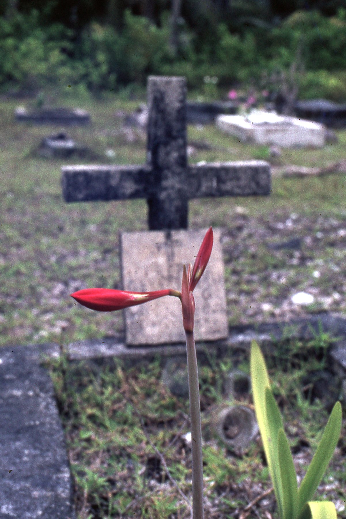 1972 Diego Garcia